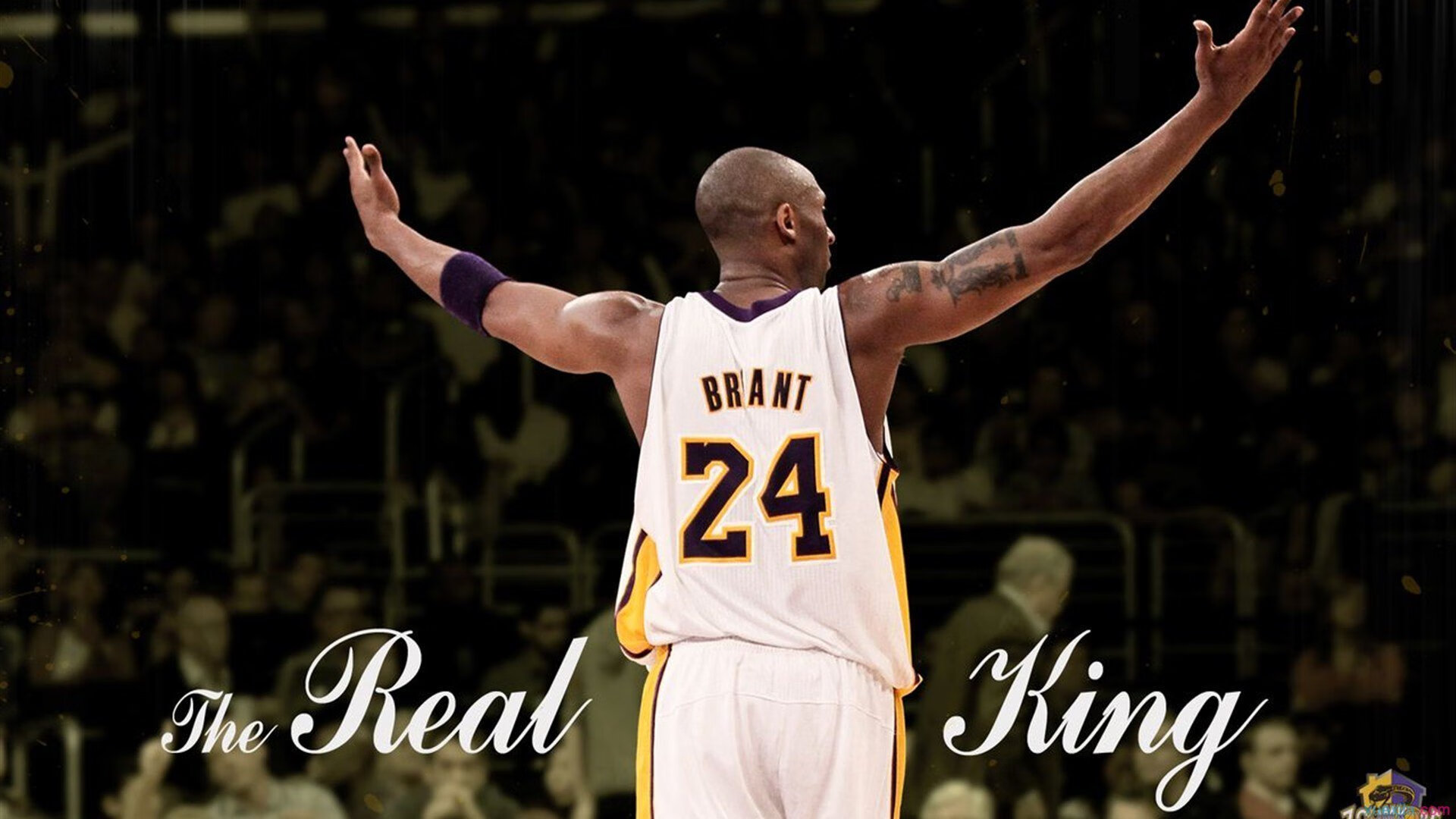 法国主帅德尼尔索尼宣布挂靴退役，德尔弗尼索